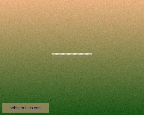 世界杯竞猜热门平台深度解析与安全可靠选择指南助你稳健参与体育赛事预测